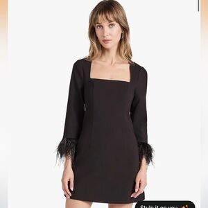 Likely Black Dress with Feather Cuffs